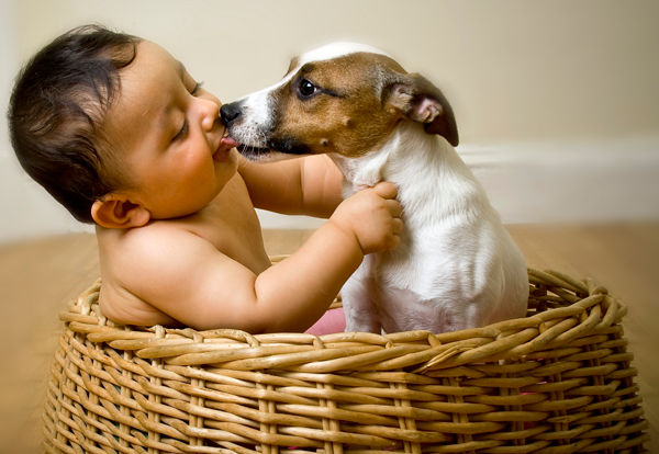 Niemowlaki i zwierzaki – toksoplazmoza i inne choroby, czy trzeba się bać?